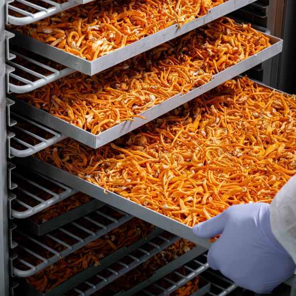 3. Drying