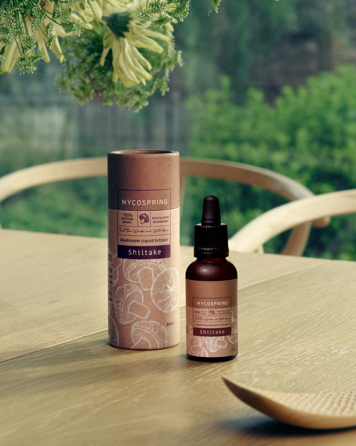 תמונת שקופית