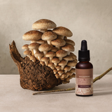 תמצית שיטאקה