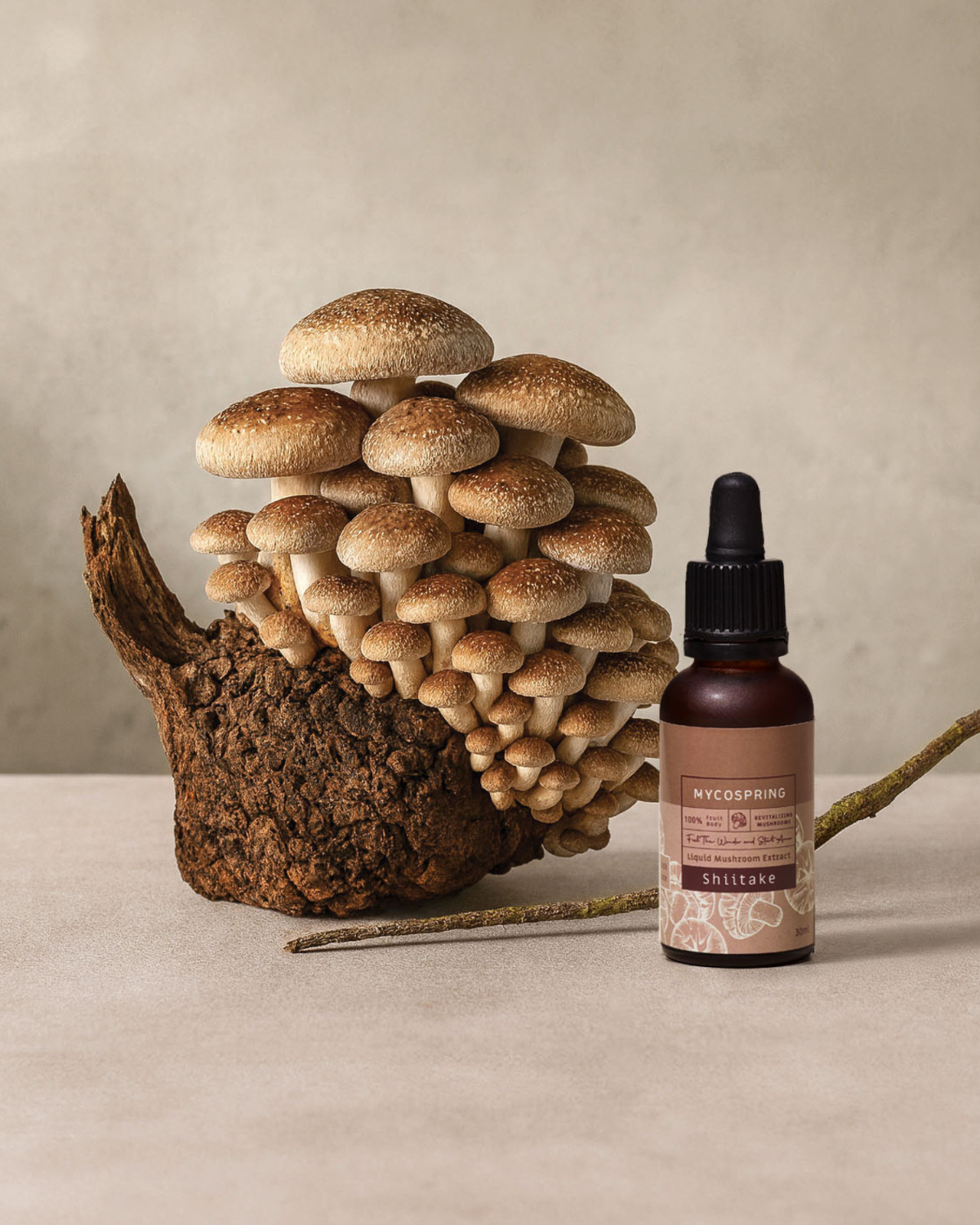 תמונת שקופית