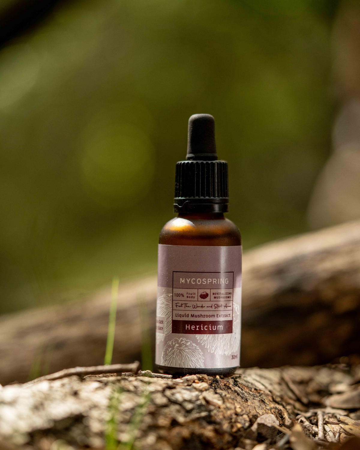 תמונת שקופית