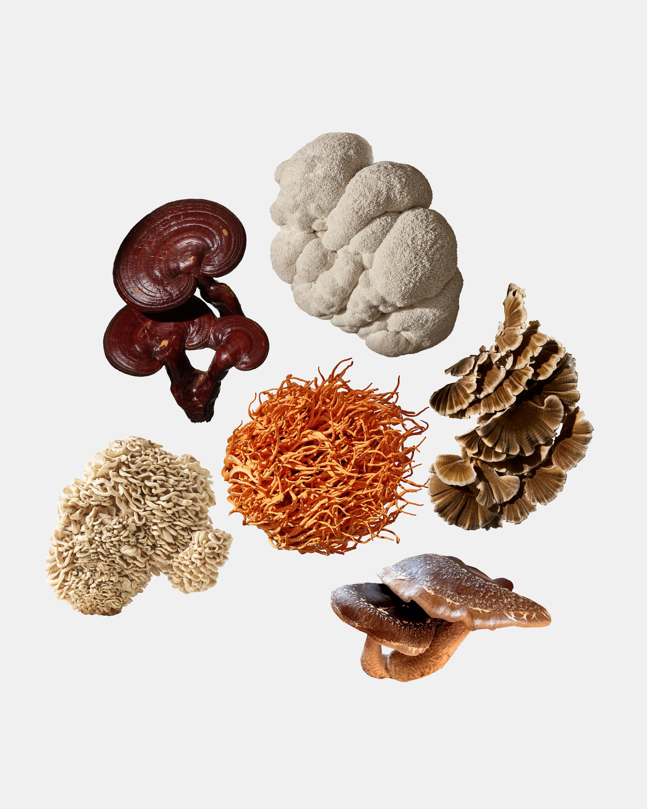 תמונת שקופית