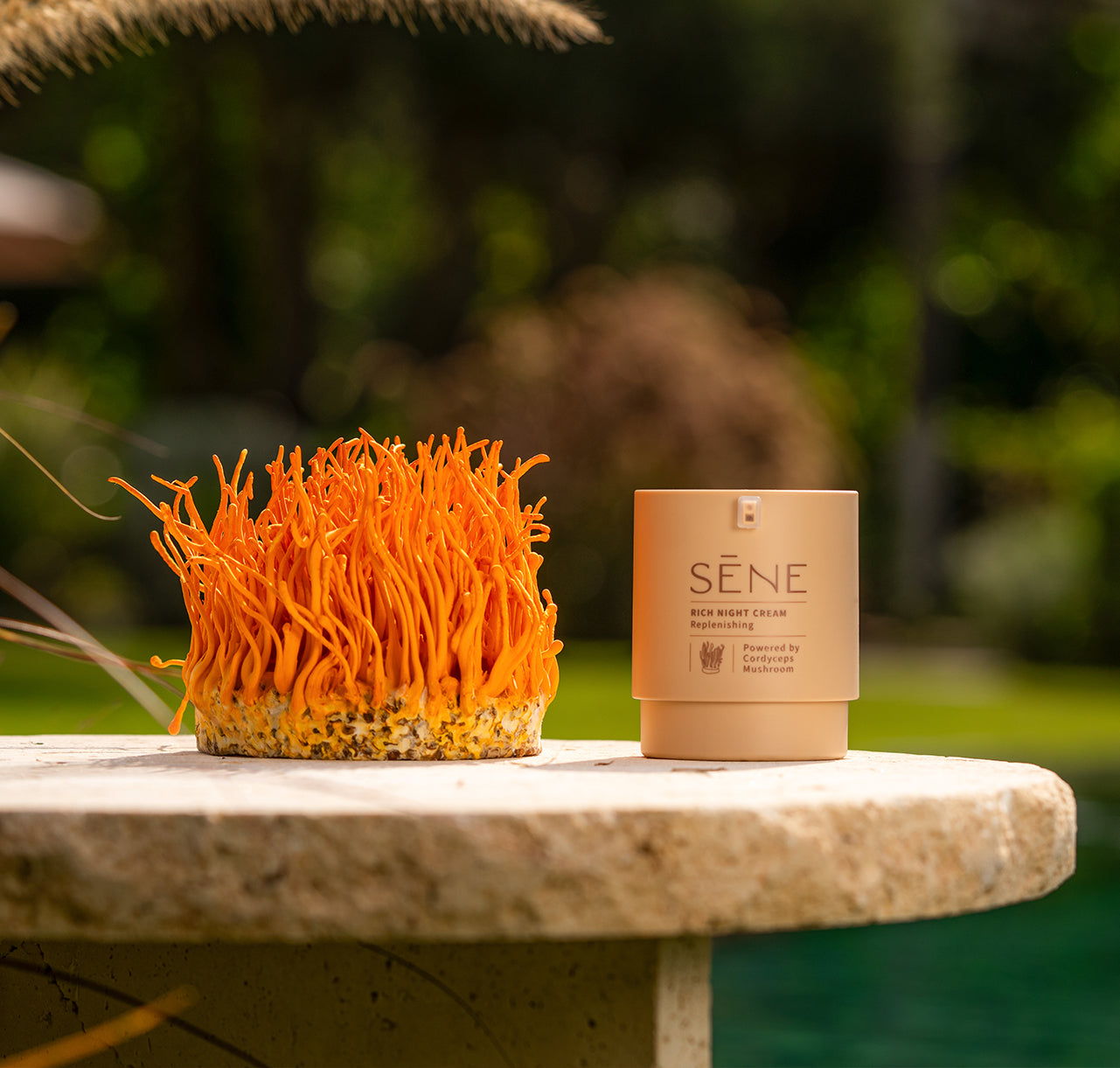 RICH NIGHT CREAM