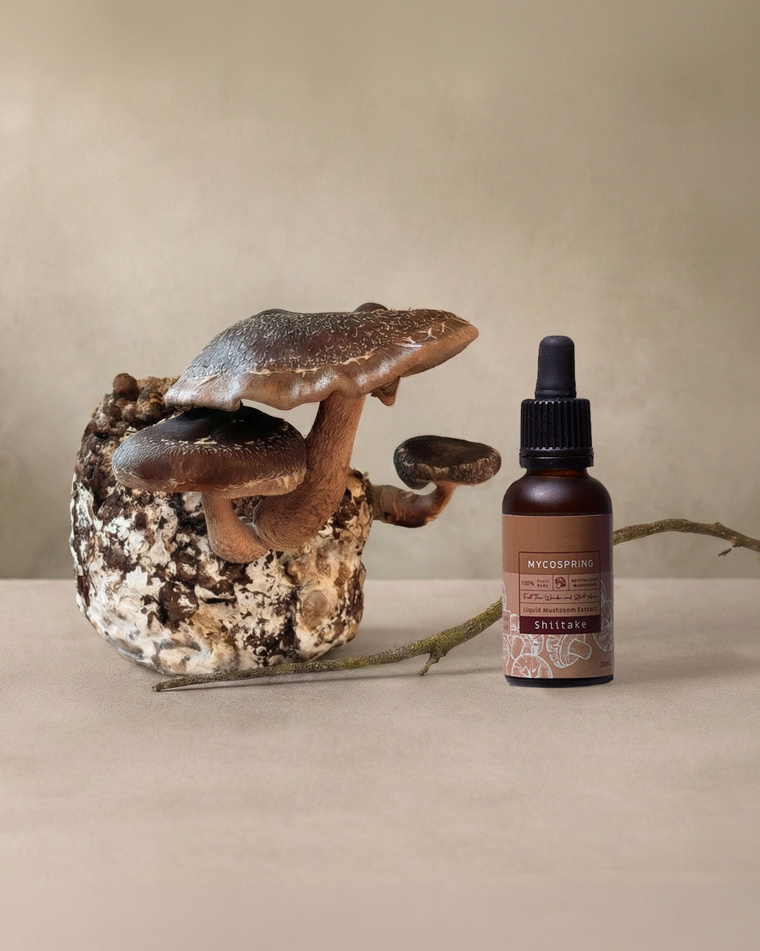 תמונת שקופית