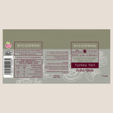 The extract of Turkey Tail