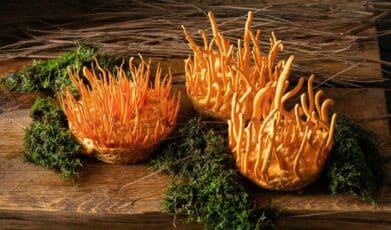 Cordycepin for Health and Wellbeing: A Potent Bioactive Metabolite of an Entomopathogenic Cordyceps Medicinal Fungus